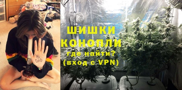 PSILOCYBIN Аркадак