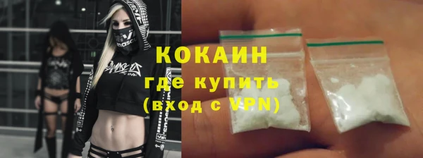 PSILOCYBIN Аркадак