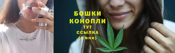 PSILOCYBIN Аркадак