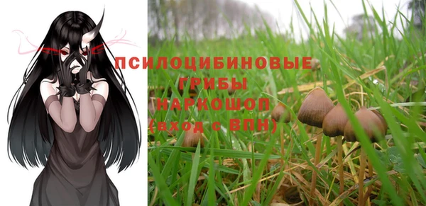 ALPHA PVP Армянск