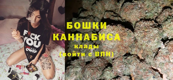 PSILOCYBIN Аркадак
