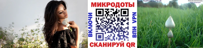 МЕГА ТОР  наркота  Магас  Галлюциногенные грибы MAGIC MUSHROOMS 